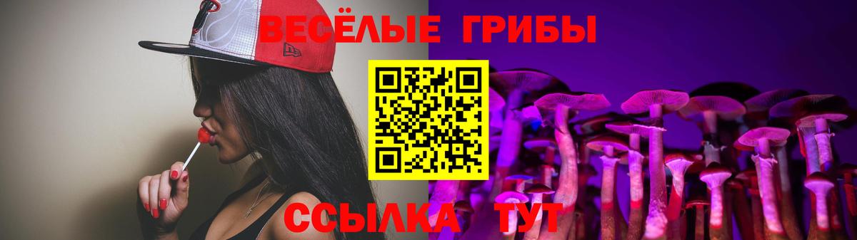 закладки  Вход с VPN  Владимир  Галлюциногенные грибы прущие грибы 